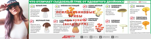 PSILOCYBIN Касимов