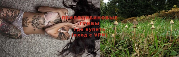 гидра Карталы
