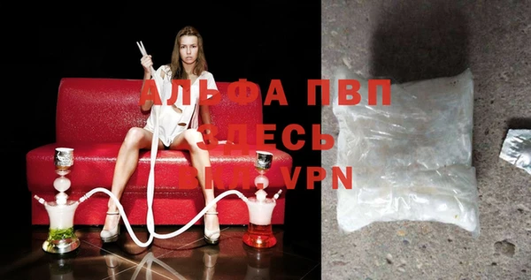 спиды Великий Новгород