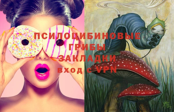 PSILOCYBIN Касимов